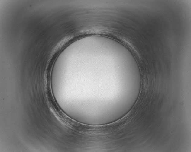 X0000082150678200701191024