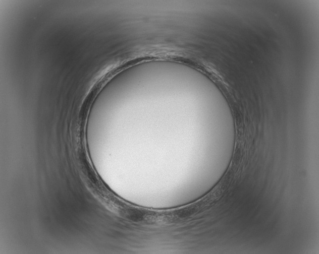 X0000082150679200701191024
