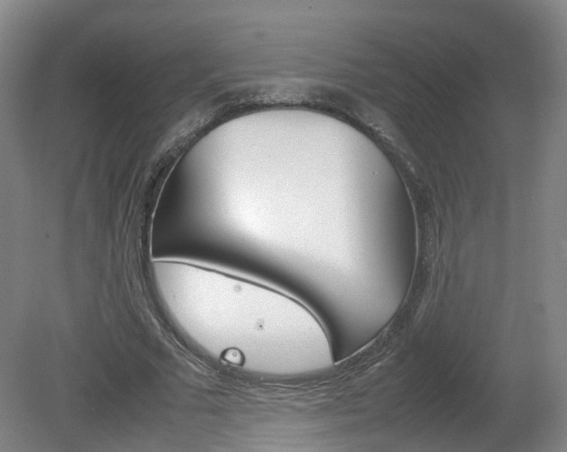 X0000082150681200701191024