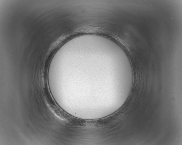 X0000082150682200701191024