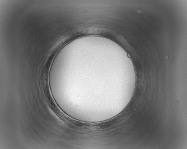 X0000082150683200701191024