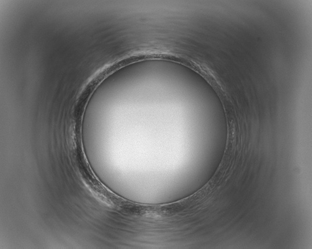 X0000082150684200701191024