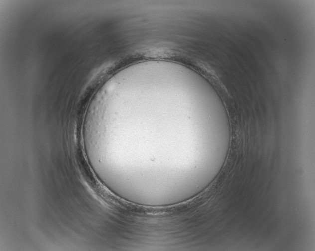 X0000082150686200701191024