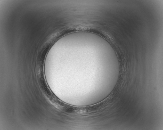 X0000082150687200701191024