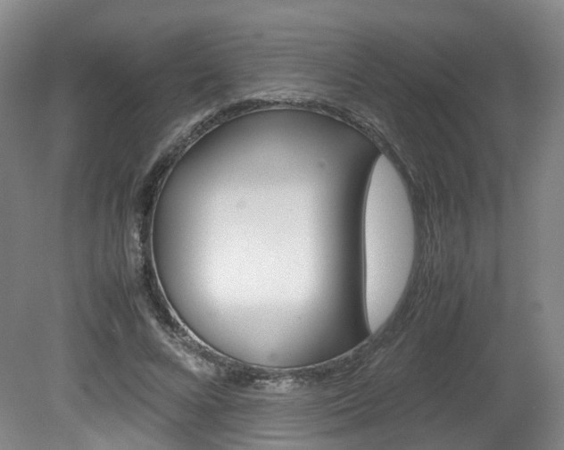 X0000082150688200701191024