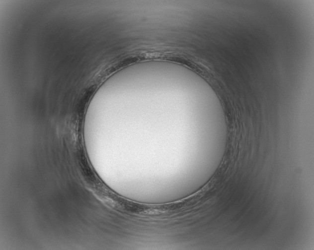 X0000082150691200701191024