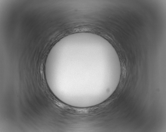 X0000082150701200701191024