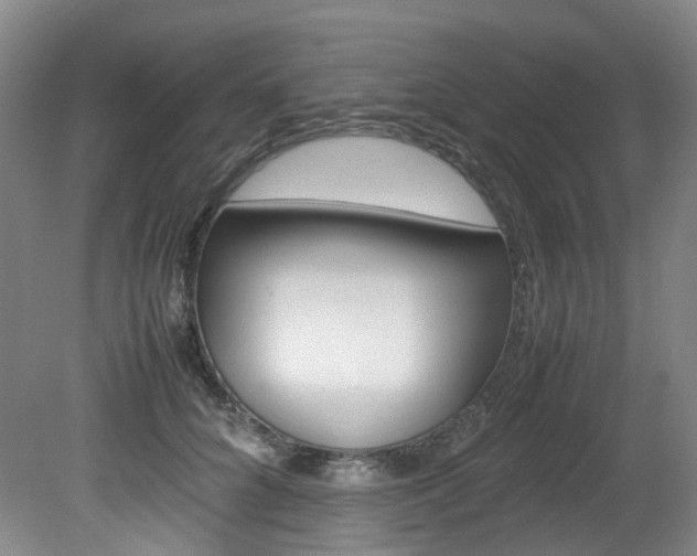 X0000082150704200701191024