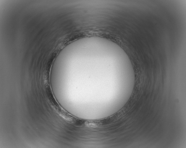 X0000082150706200701191024