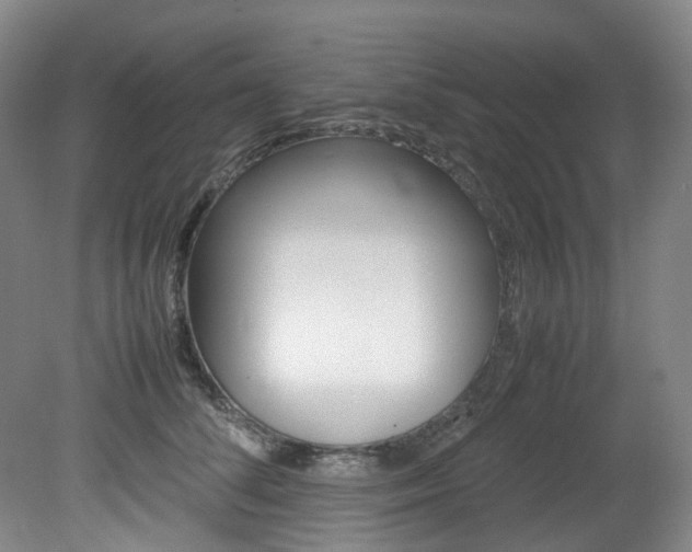 X0000082150708200701191024