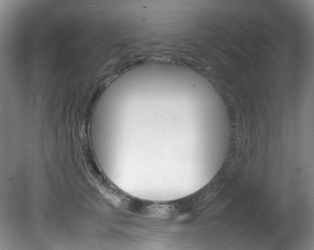 X0000082150711200701191024