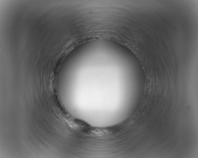 X0000082150712200701191024