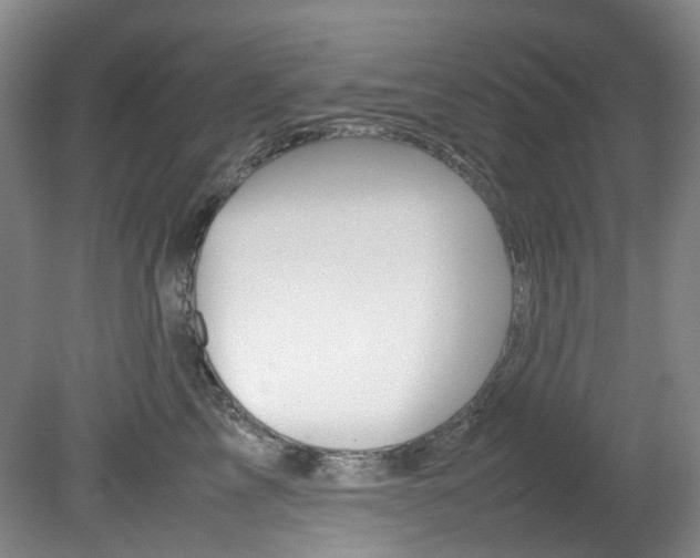 X0000082150713200701191024