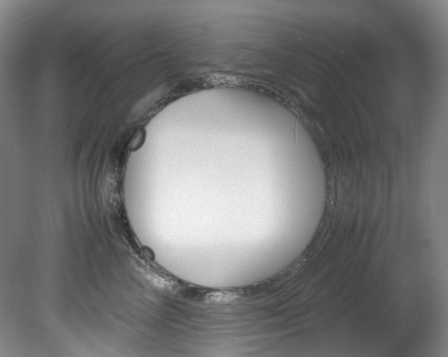 X0000082150714200701191024