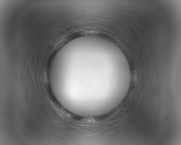 X0000082150715200701191023
