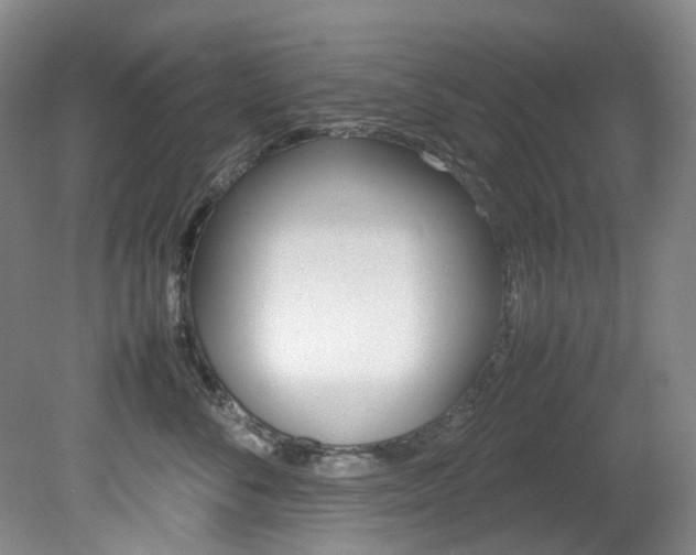 X0000082150716200701191023