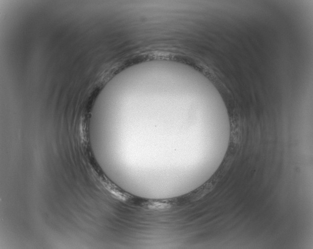 X0000082150718200701191023