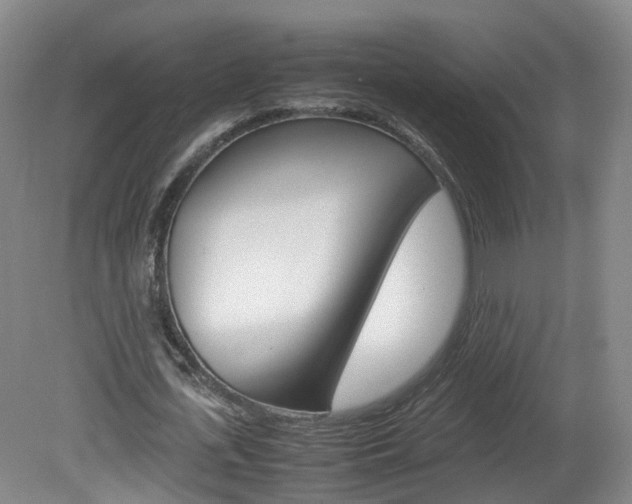 X0000082150723200701191023