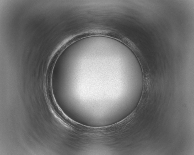 X0000082150726200701191023
