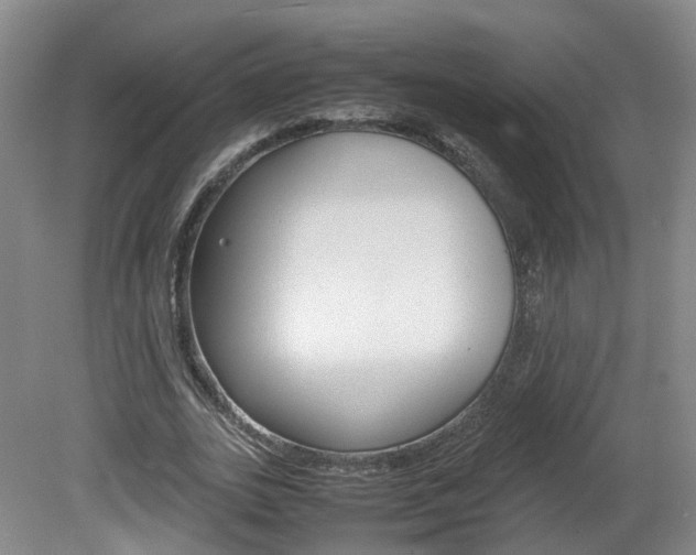 X0000082150727200701191023