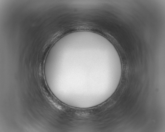 X0000082150729200701191023