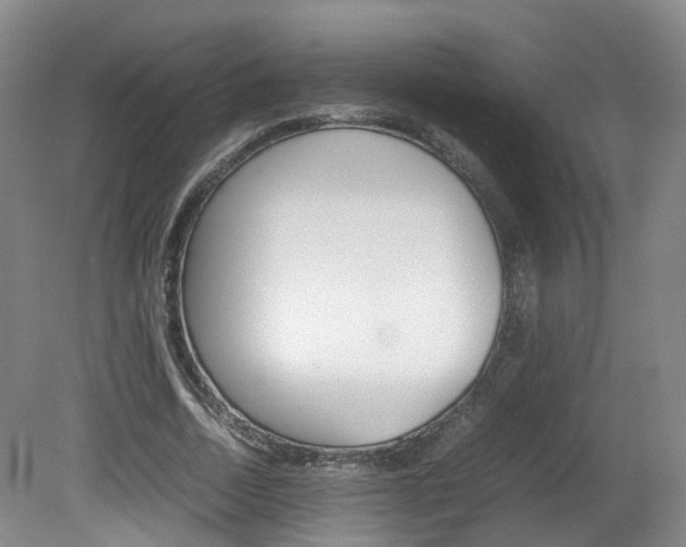X0000082150730200701191023