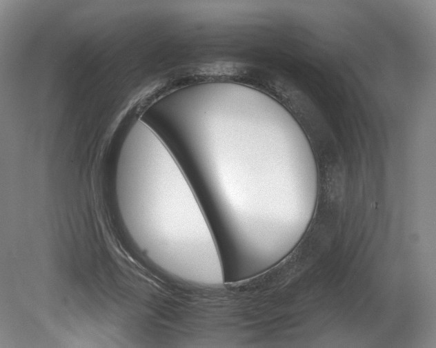 X0000082150731200701191023