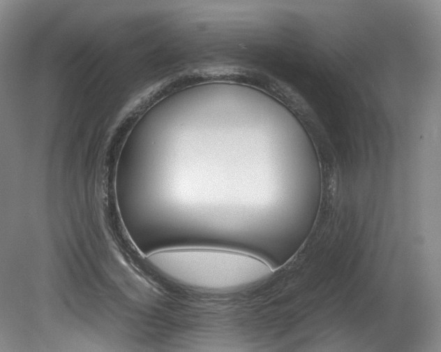 X0000082150732200701191023