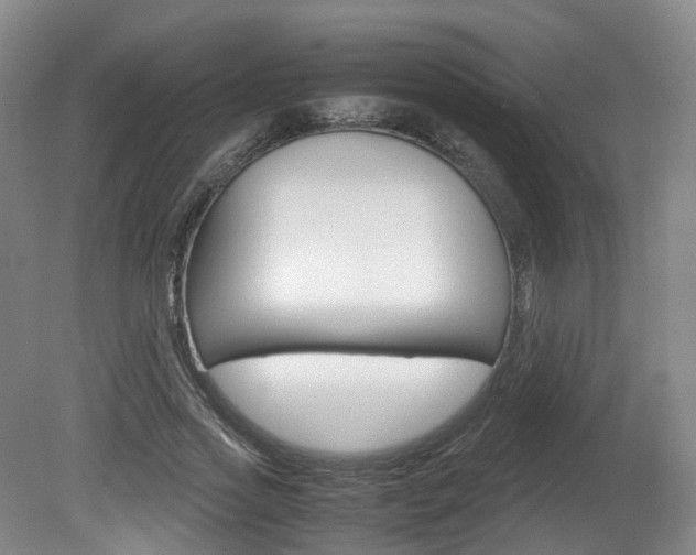 X0000082150733200701191023