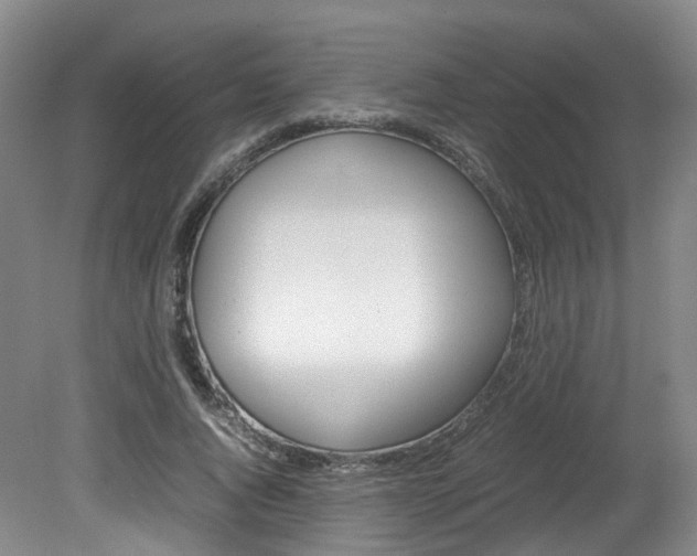 X0000082150736200701191023