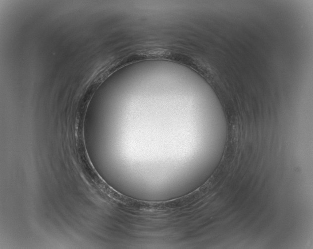 X0000082150739200701191023
