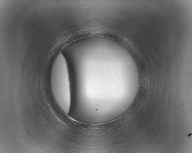 X0000082150740200701191023