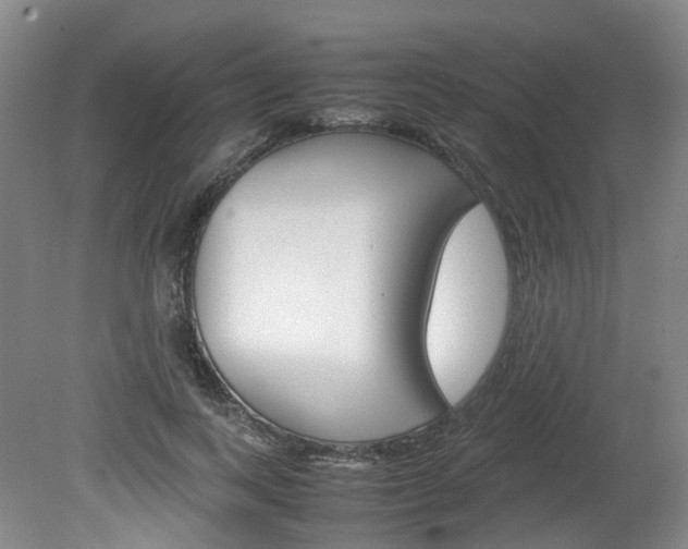 X0000082150743200701191023