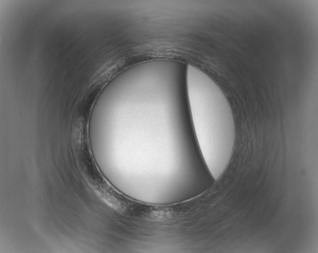 X0000082150744200701191023