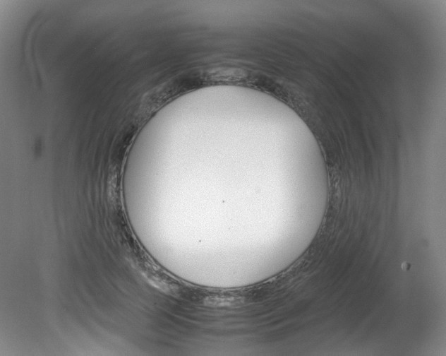 X0000082150745200701191023