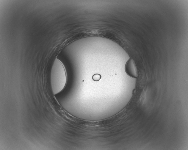 X0000082150747200701191023