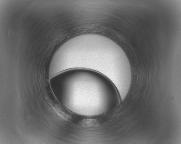 X0000082150748200701191023