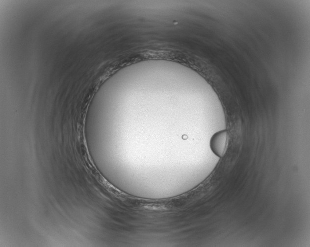 X0000082150749200701191023