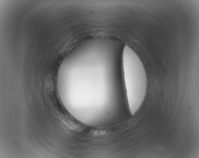 X0000082150751200701191023