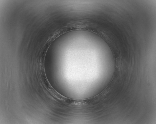 X0000082150752200701191023