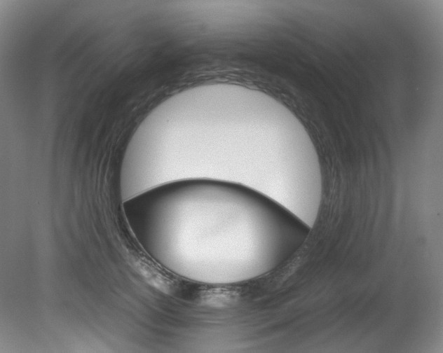 X0000082150754200701191023