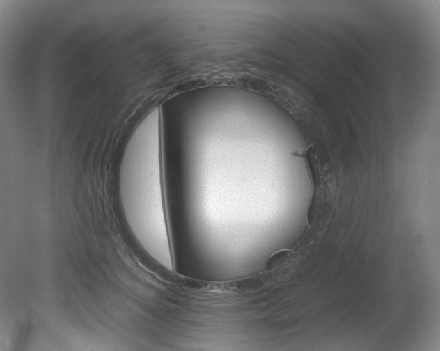 X0000082150756200701191023