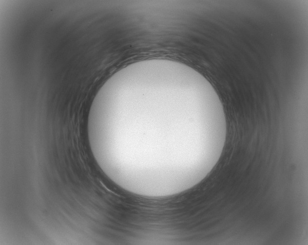 X0000082150760200701191023