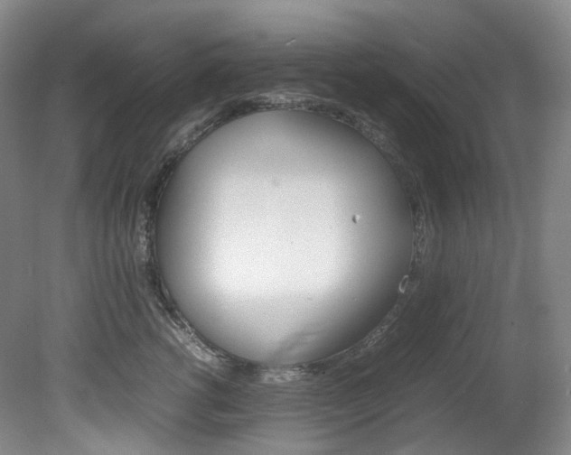 X0000082150762200701191023