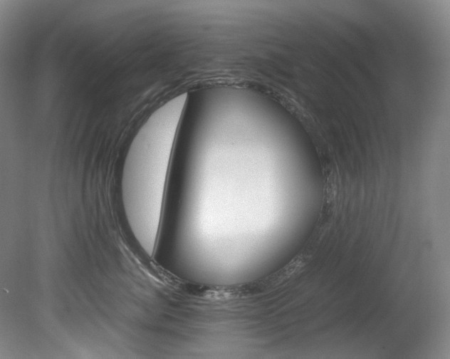 X0000082150764200701191023