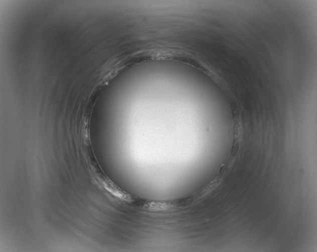 X0000082150766200701191023