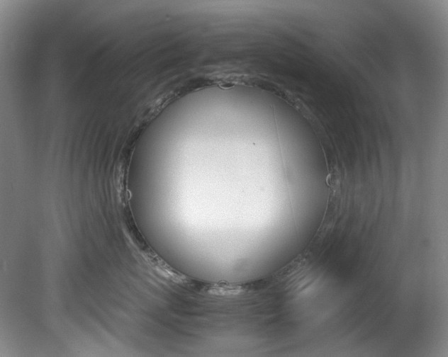 X0000082150767200701191023