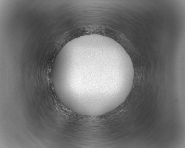 X0000082150770200701191023