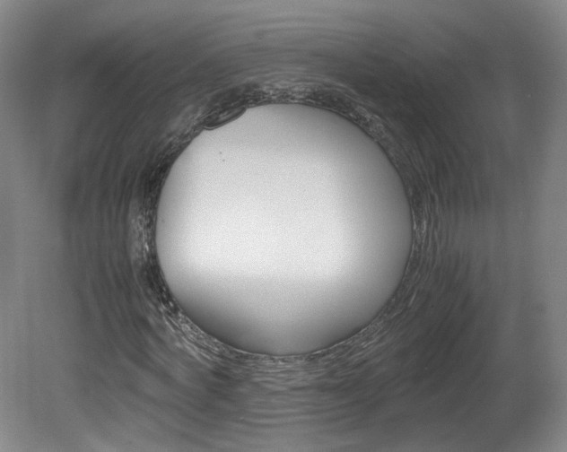 X0000082150772200701191023