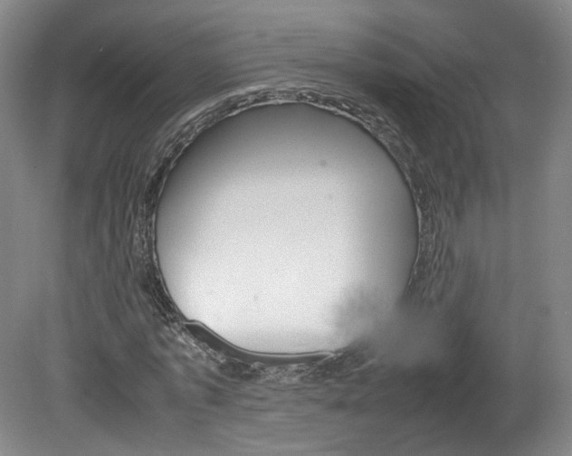 X0000082150773200701191023